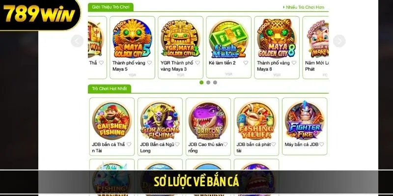 Sơ lược về bắn cá 789WIN