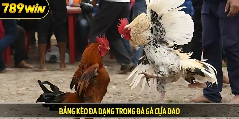 Bảng kèo đa dạng trong đá gà cựa dao