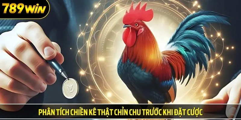 Phân tích chiến kê thật chỉn chu trước khi đặt cược