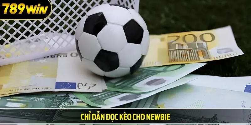 Chỉ dẫn đọc kèo cho newbie