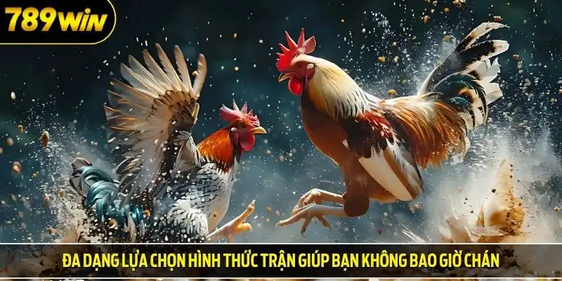 Đa dạng lựa chọn hình thức trận giúp bạn không bao giờ chán