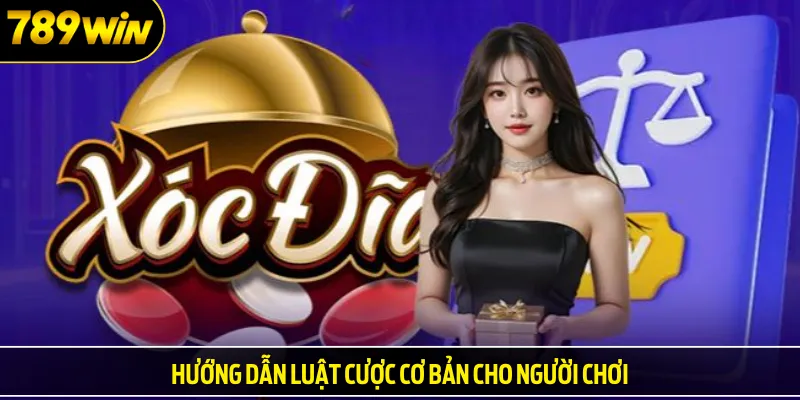 Hướng dẫn luật cược cơ bản cho người chơi