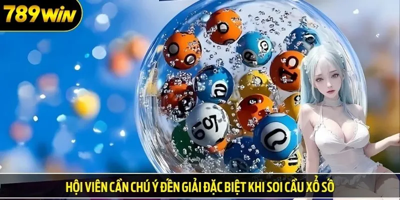 Hội viên cần chú ý đến giải đặc biệt khi soi cầu xổ số
