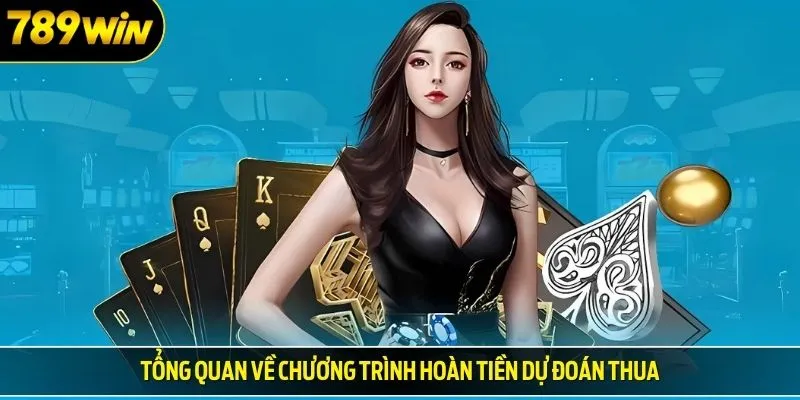 Tổng quan về chương trình hoàn tiền dự đoán thua