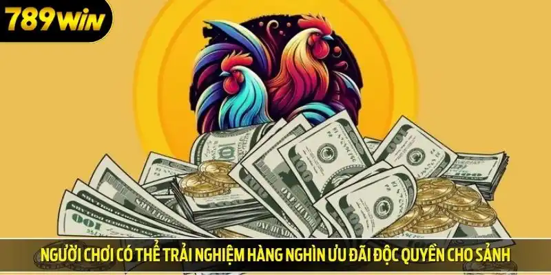 Người chơi có thể trải nghiệm hàng nghìn ưu đãi độc quyền cho sảnh
